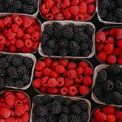 突破网络封锁：手机修改hosts文件实现科学上网的终极指南