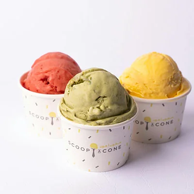 突破网络边界：科学上网工具DNS的终极配置与应用指南